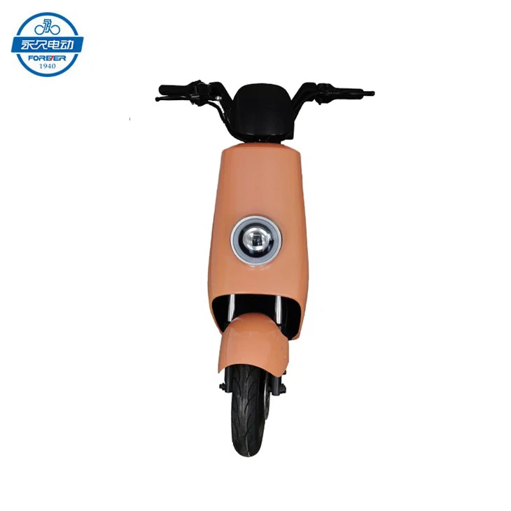 Powerful Racing Electric Scooter For Adult GT918