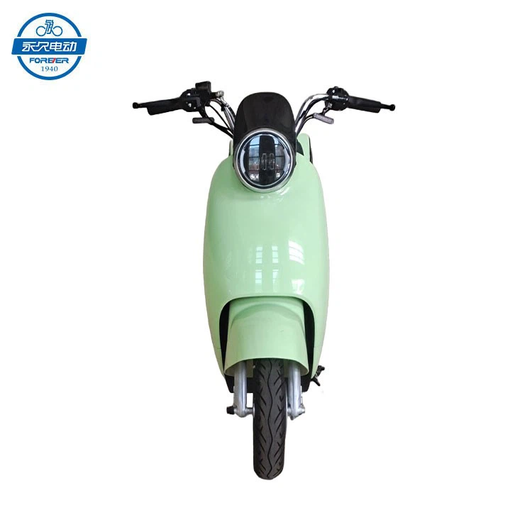 Folding Electric Scooter